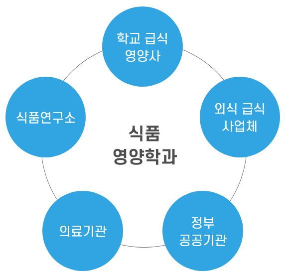 식품영양학과_졸업후진로